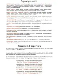 2008 Fiat Panda