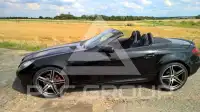 2008 Mercedes Benz SLK 350