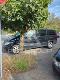 2008 Mercedes Benz Viano
