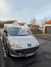 2008 Peugeot 307