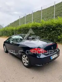 2008 Peugeot 307