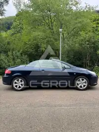 2008 Peugeot 307