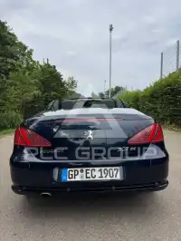 2008 Peugeot 307