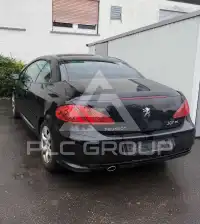 2008 Peugeot 307
