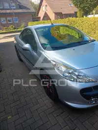 2008 Peugeot 207