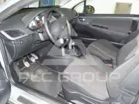 2008 Peugeot 207