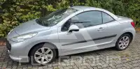 2008 Peugeot 207