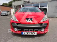 2008 Peugeot 207