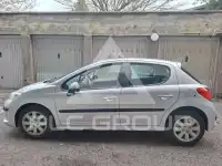 2008 Peugeot 207