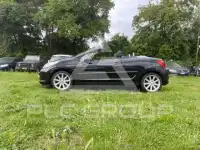 2008 Peugeot 207
