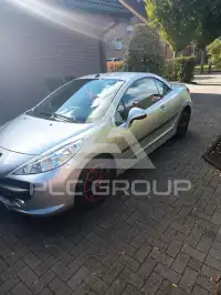 2008 Peugeot 207