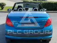 2008 Peugeot 207