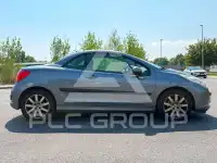 2008 Peugeot 207