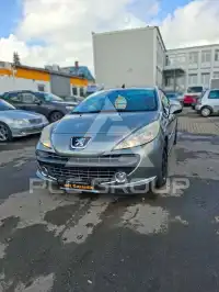 2008 Peugeot 207