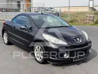 2008 Peugeot 207