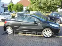 2008 Peugeot 207