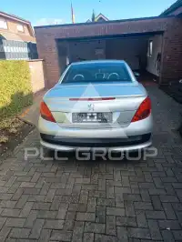 2008 Peugeot 207