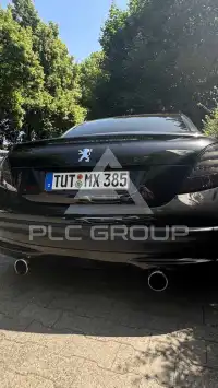 2008 Peugeot 207