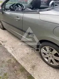 2008 Peugeot 207