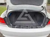 2009 BMW 320