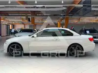 2009 BMW 320