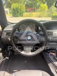 2009 BMW 320
