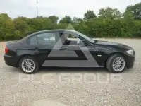 2009 BMW 318