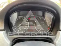 2009 BMW 318