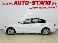 2009 BMW 318