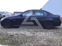 2009 BMW 318