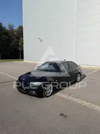 2009 BMW 318