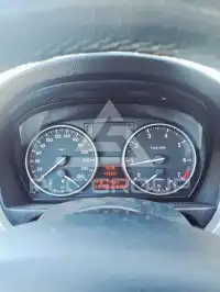 2009 BMW 318