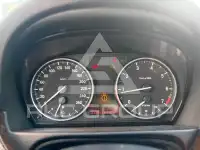 2009 BMW 318
