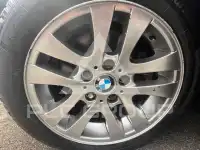 2009 BMW 318