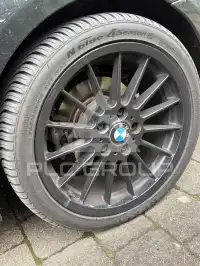 2009 BMW 318