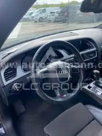 2009 Audi S5