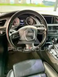 2009 Audi S5