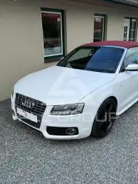 2009 Audi S5