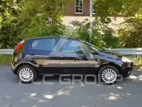 2009 Fiat Punto