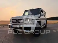 2009 Mercedes Benz G 500