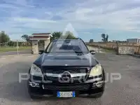 2009 Mercedes Benz GL 350