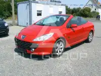 2009 Peugeot 307
