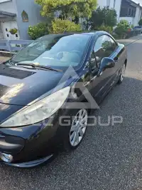 2009 Peugeot 307