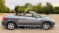 2009 Peugeot 307