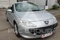 2009 Peugeot 307