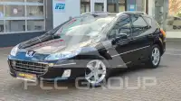 2009 Peugeot 407