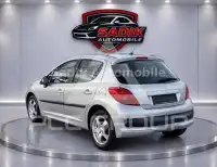 2009 Peugeot 207