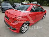 2009 Peugeot 207