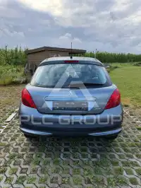 2009 Peugeot 207