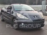2009 Peugeot 207